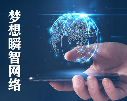 互联网网络公司网站